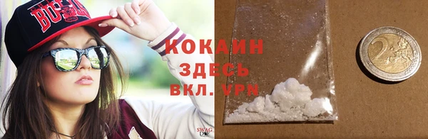 хмурый Осинники