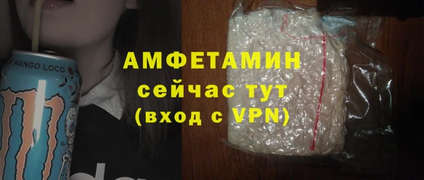 хмурый Осинники