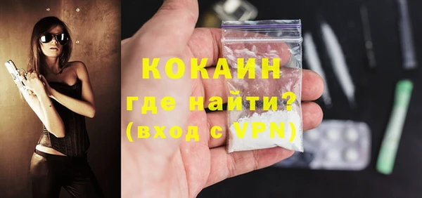 хмурый Осинники
