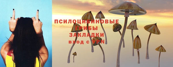 хмурый Осинники