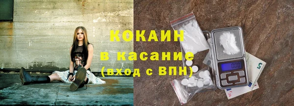 хмурый Осинники