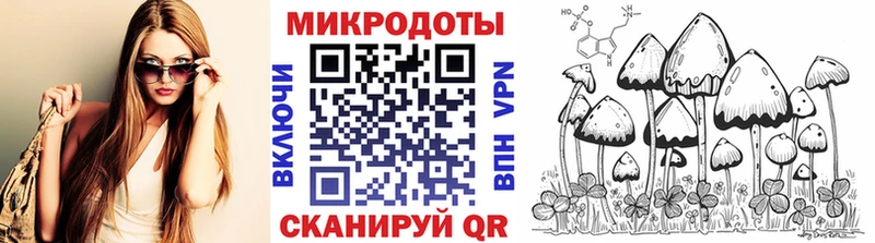 Галлюциногенные грибы прущие грибы  Адыгейск 
