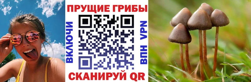 Галлюциногенные грибы GOLDEN TEACHER Адыгейск